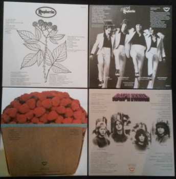 4CD/Box Set Raspberries: Classic Album Set