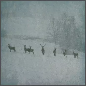 Rauhnacht: Winterstille