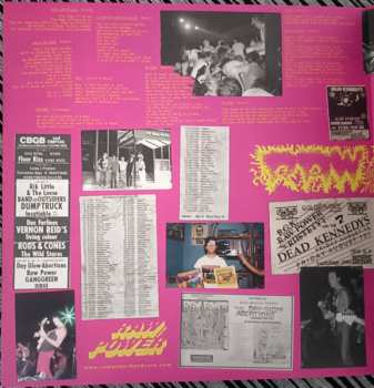 LP Raw Power: Screams From The Gutter