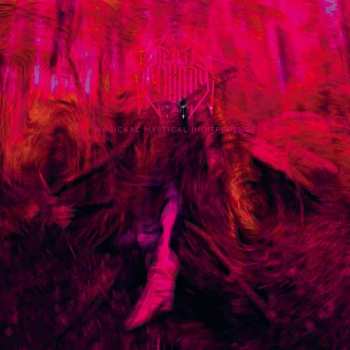 CD Rebel Wizard: Magickal Mystical Indifference 