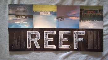 CD Reef: Rides