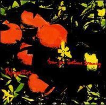 LP Refrigerator: How You Continue Dreaming