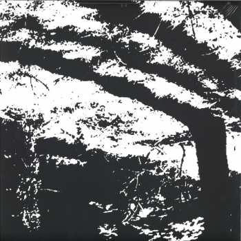 LP Reggy Van Oers: Transcranial