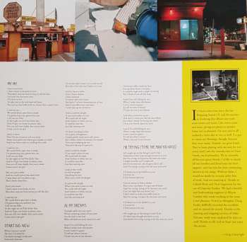 LP Reigning Sound: Shattered