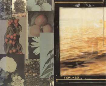 MC R.E.M.: Out Of Time