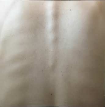 LP Reuben And The Dark: Arms Of A Dream