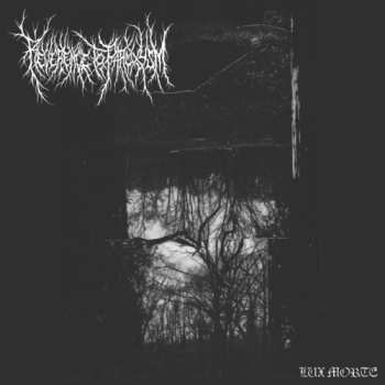 Album Reverence To Paroxysm: Lux Morte