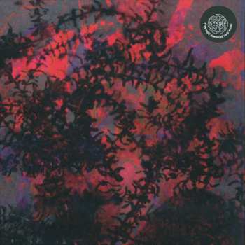 LP Ricardo Tobar: If I Love You