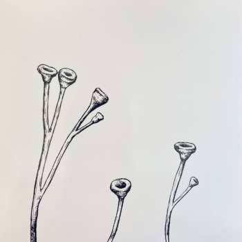 CD Richard Dawson: Henki