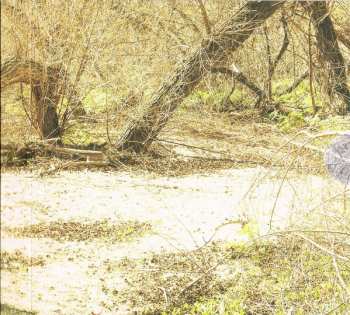 2CD Richard Thompson: Still DLX | LTD