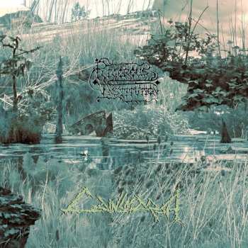 Album Rigorous Institution: Cainsmarsh