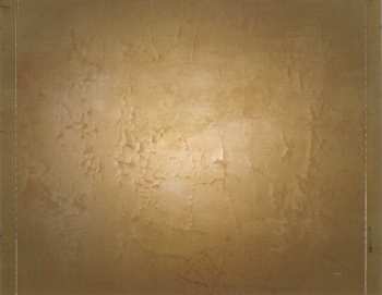 CD Roarback: Echoes Of Pain