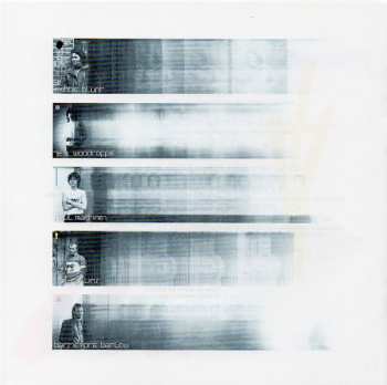 CD Robert Plant: The Principle Of Moments