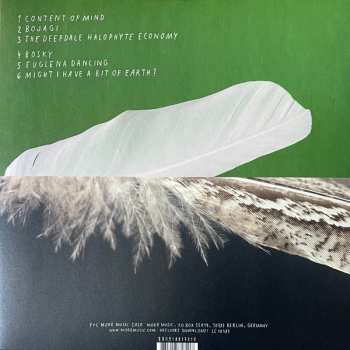 LP Robin Saville: Build A Diorama