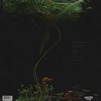 2LP Robot Koch: Hypermoment