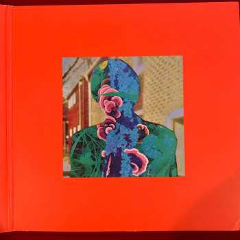 LP Robyn Hitchcock: Shufflemania!