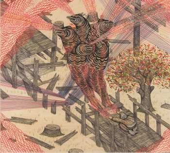 CD Rogue Wave: Nightingale Floors