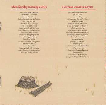 CD Rogue Wave: Nightingale Floors