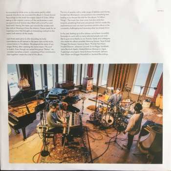 LP Rohey: A Million Things