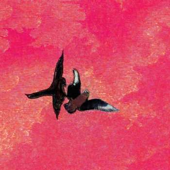 Album Rojas,sebastian: En La Orilla