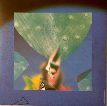 LP Roland Tings: Salt Water LTD