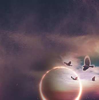 CD Ron Coolen: Rise DIGI