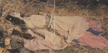 CD Rufus Wainwright: Want Two