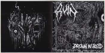 CD Ruin: Drown In Blood