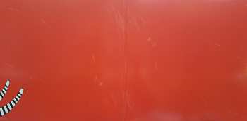 LP Ryan Adams & The Cardinals: Cardinology