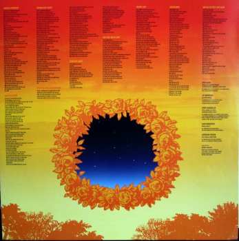 2LP Ryan Adams & The Cardinals: Cold Roses