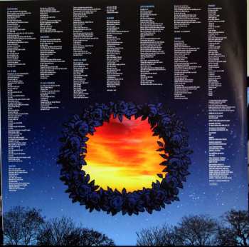 2LP Ryan Adams & The Cardinals: Cold Roses