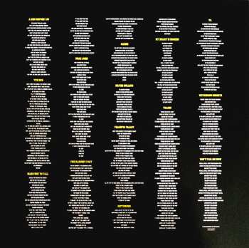 2LP Ryan Adams & The Cardinals: Jacksonville City Nights