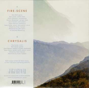 SP S. Carey: Fire-Scene