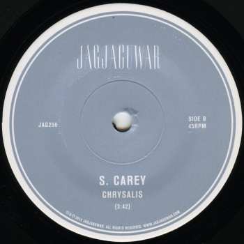 SP S. Carey: Fire-Scene