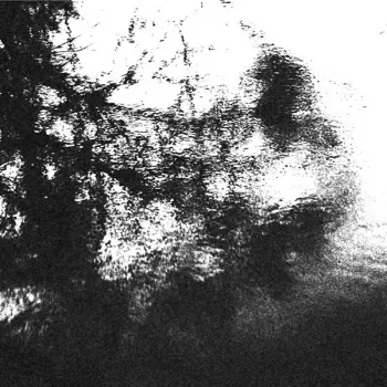 Alluring The Distant Eye