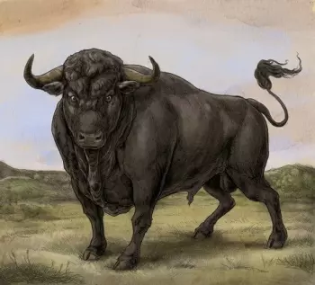 San Fermin: San Fermin