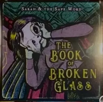 The Book Of Broken Glass
