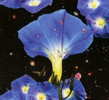 CD Sarah Louise: Nighttime Birds And Morning Stars