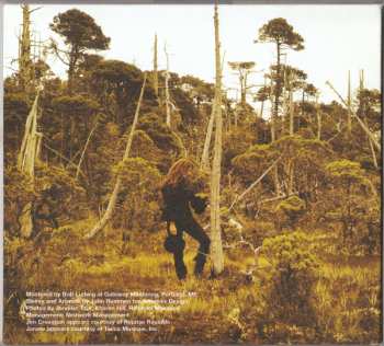 2CD Sarah McLachlan: Closer: The Best Of Sarah McLachlan DLX | LTD