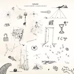 Human Error / Human Delight 