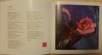 CD SCANDAL: Kiss From The Darkness