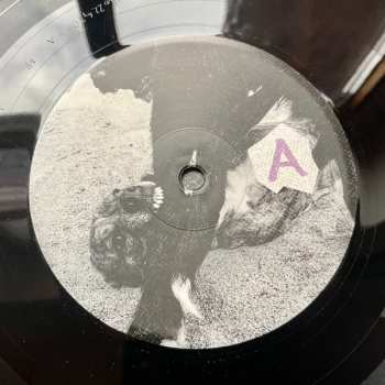 LP Scherben: Domestiziert