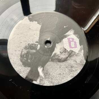 LP Scherben: Domestiziert