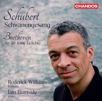 Album Ludwig van Beethoven: Schwanengesang; An Die Ferne Geliebte