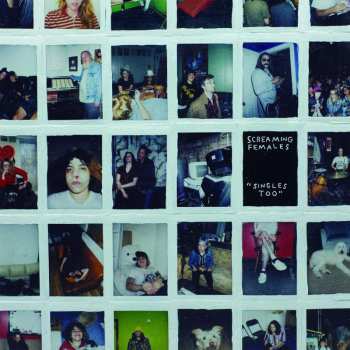 CD Screaming Females: "Singles Too"
