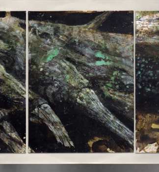 LP/CD Sea Wolf: Through A Dark Wood CLR