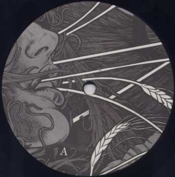 LP Matt Baldwin: Berkeley Guitar LTD