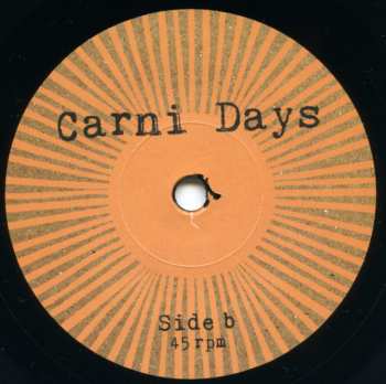 SP Seasick Steve: Love & Peace LTD