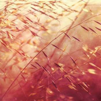 Album Secret Pyramid: Two Shadows Collide