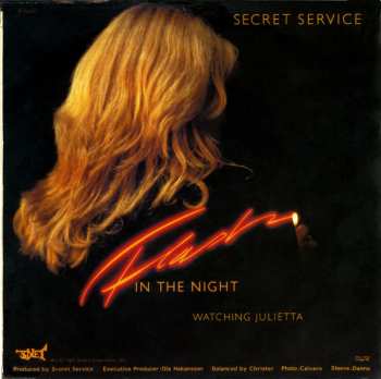 SP Secret Service: Flash In The Night